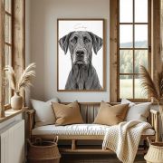 Charcoal B&W Isolated