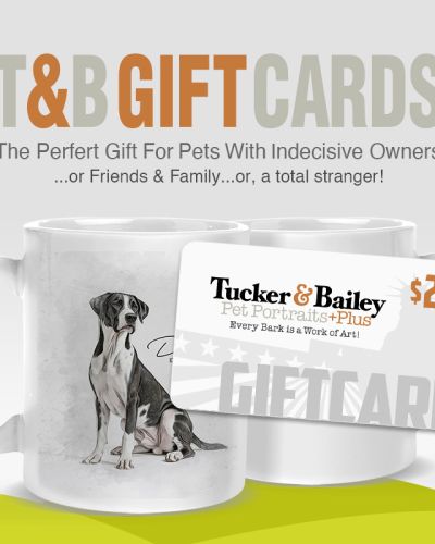 T&B Gift Card