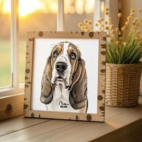 Sketch Color Isolated