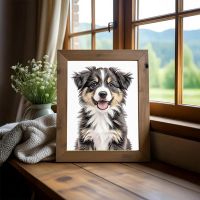 Sketch Color solated