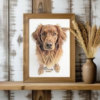 Sketch Color Isolated